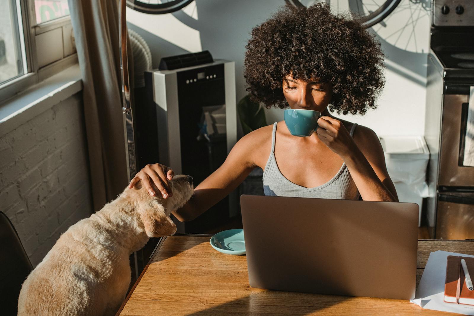 health insurance for self employed